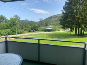 Ferienwohnung in perfekter Lage, Hahnenklee